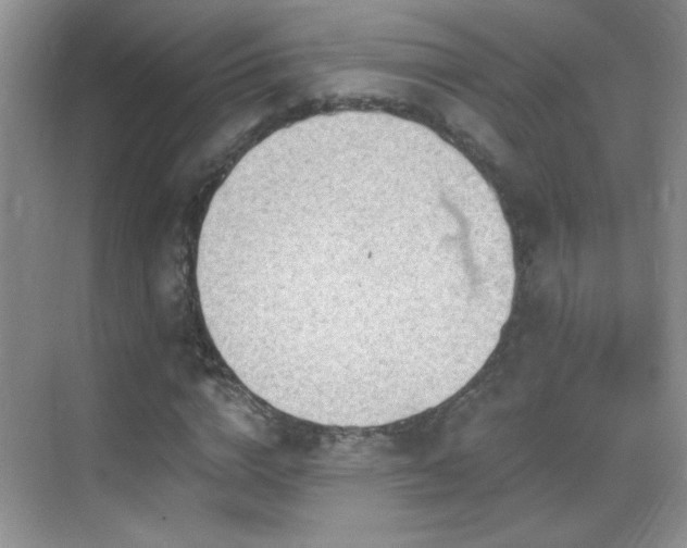 X0000069830824200605191137