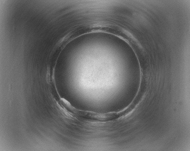 X0000069830825200605191137