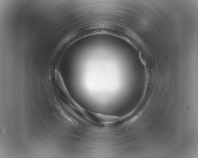 X0000069830826200605191137