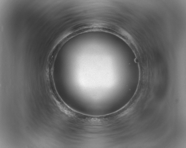 X0000069830827200605191137