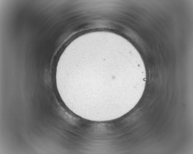 X0000069830828200605191137