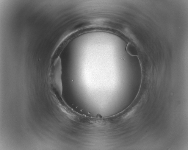 X0000069830830200605191137