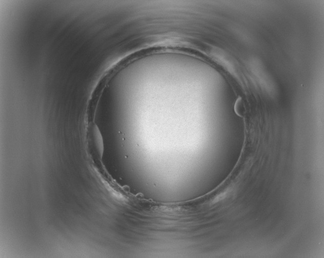 X0000069830831200605191137