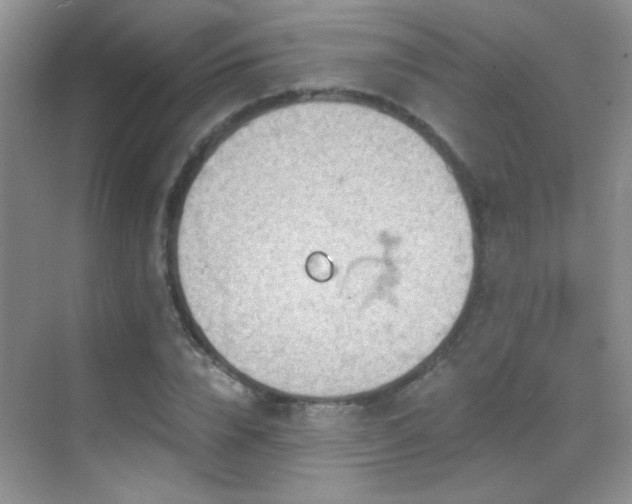 X0000069830832200605191137