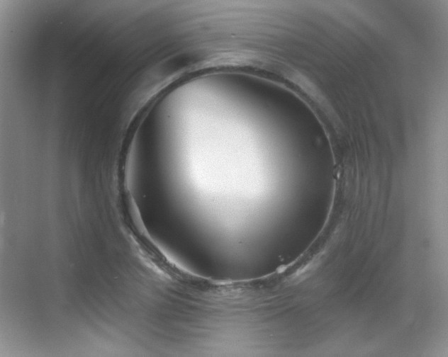 X0000069830834200605191137