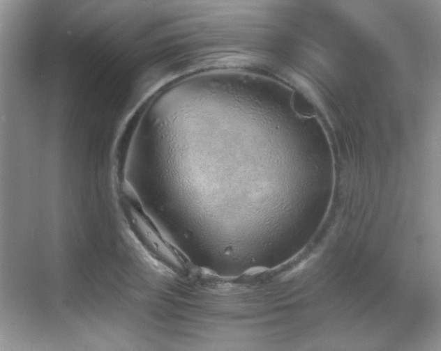 X0000069830835200605191137