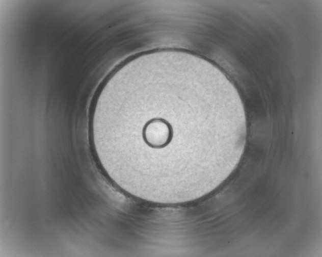 X0000069830836200605191137