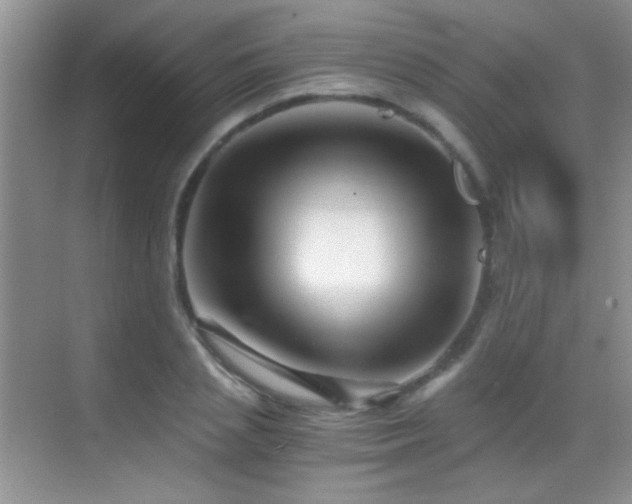 X0000069830837200605191137