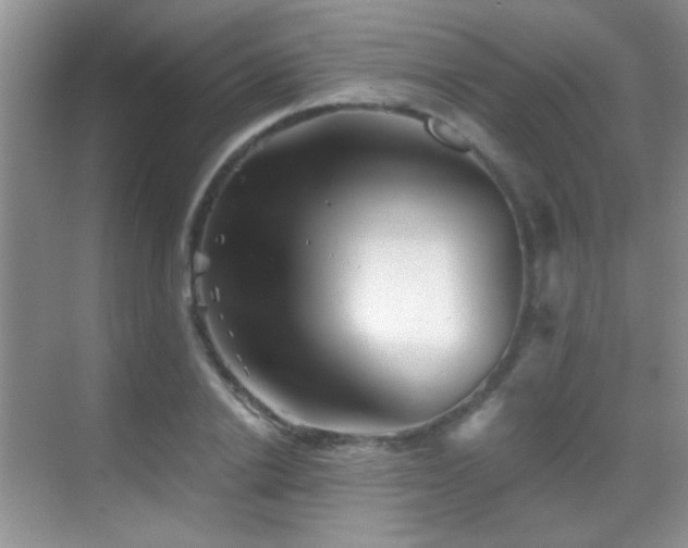 X0000069830838200605191137