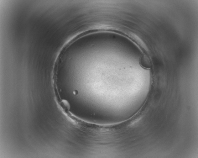 X0000069830839200605191137