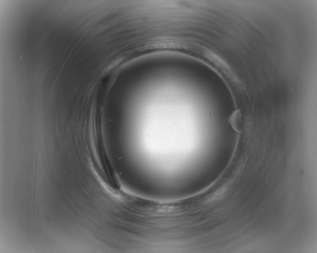 X0000069830841200605191138