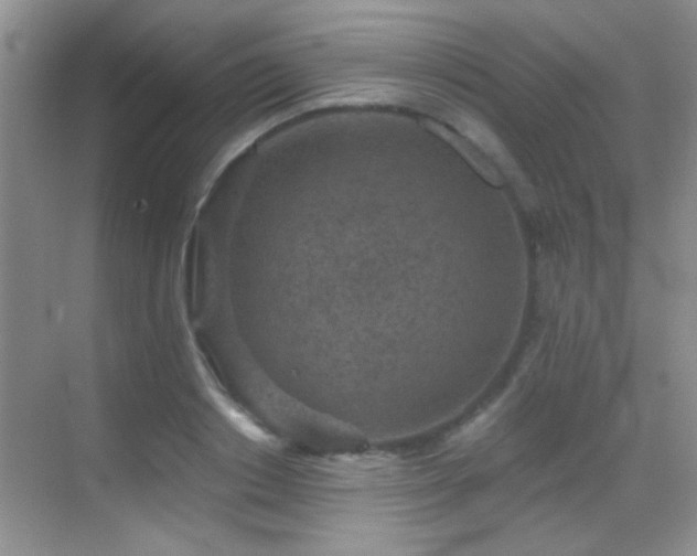 X0000069830842200605191138