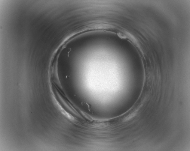 X0000069830843200605191138