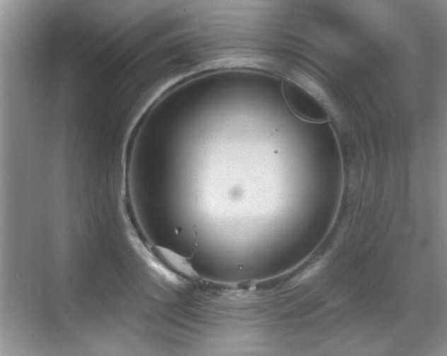 X0000069830844200605191138