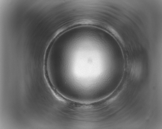 X0000069830845200605191138