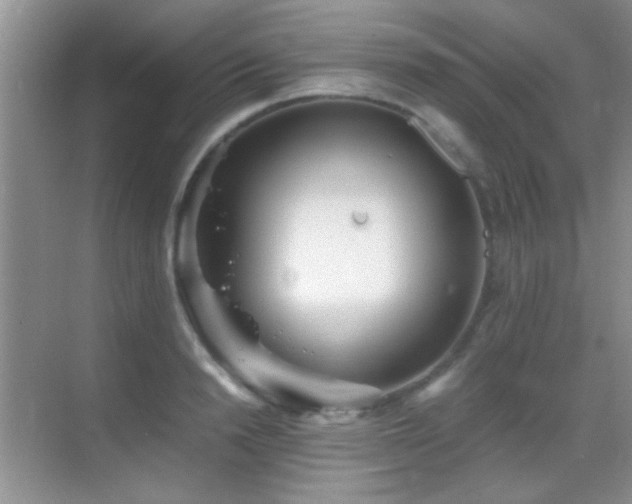 X0000069830846200605191138