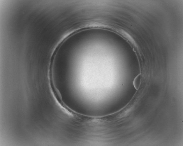 X0000069830847200605191138