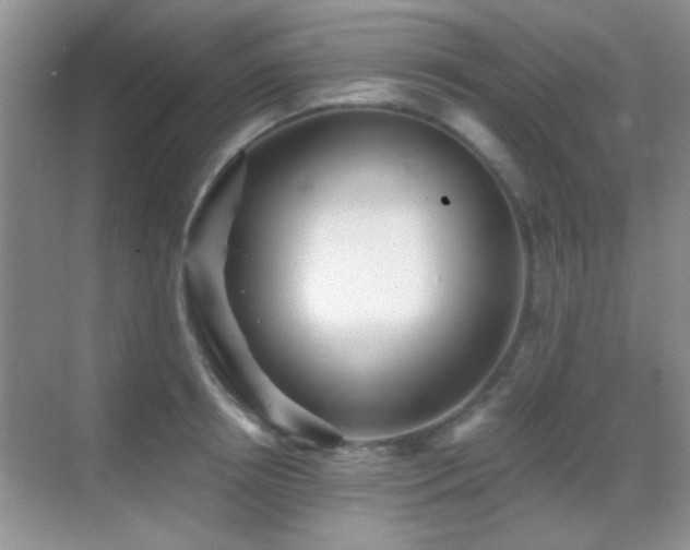 X0000069830850200605191138