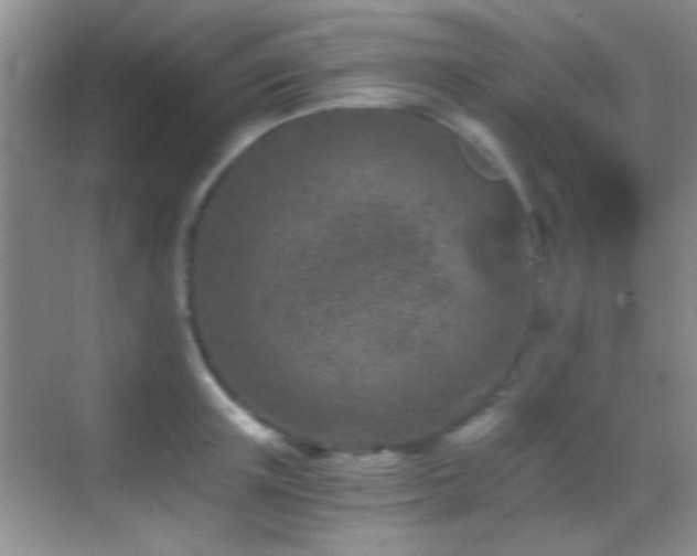 X0000069830851200605191138