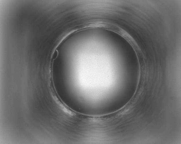 X0000069830852200605191138