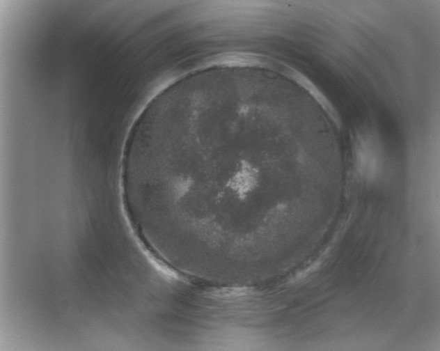 X0000069830853200605191138