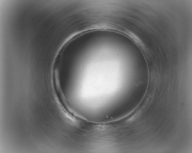 X0000069830854200605191138