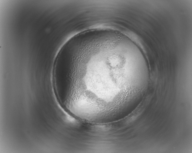 X0000069830855200605191138