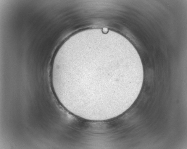 X0000069830856200605191138