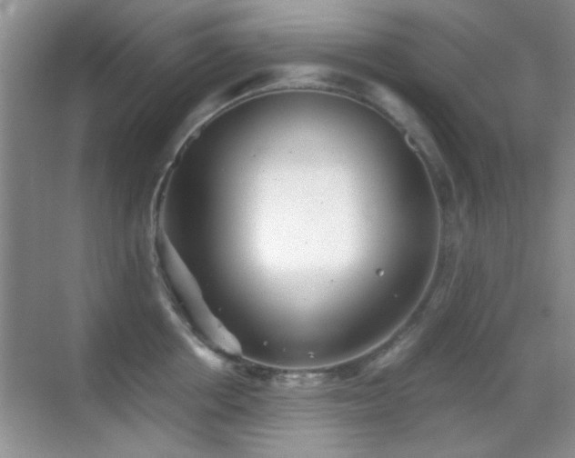 X0000069830858200605191138