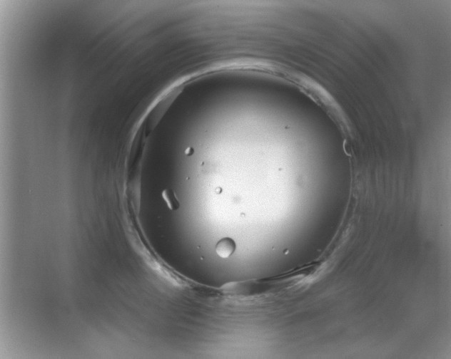 X0000069830860200605191138