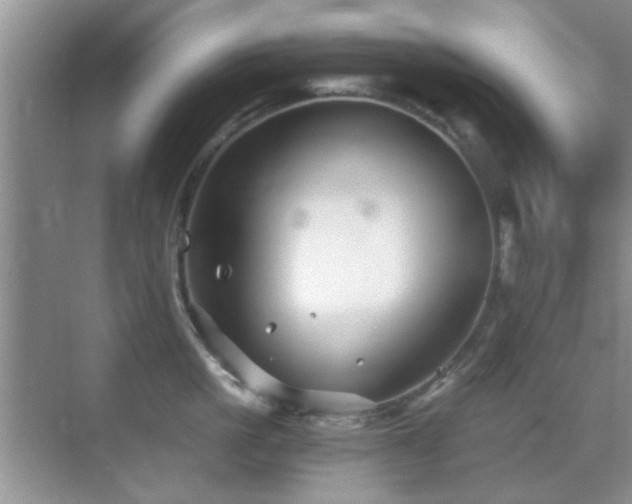 X0000069830861200605191138