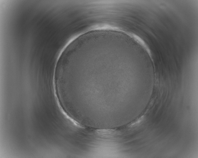 X0000069830863200605191138