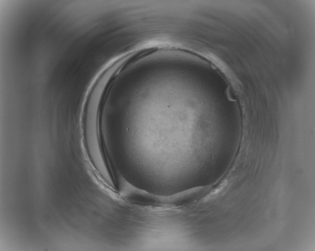 X0000069830864200605191138