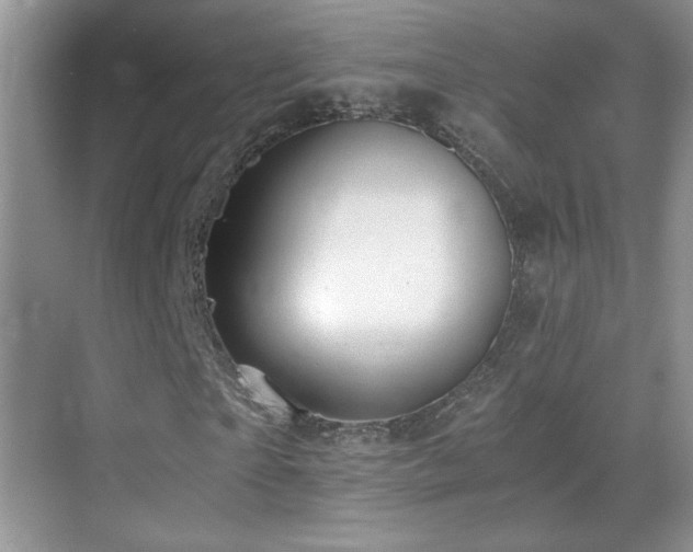 X0000069830865200605191137