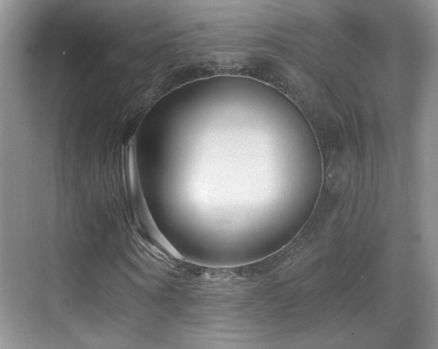 X0000069830866200605191137