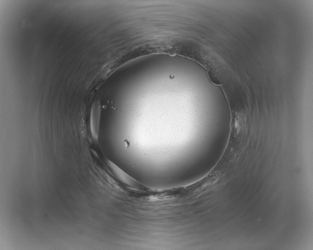 X0000069830867200605191137