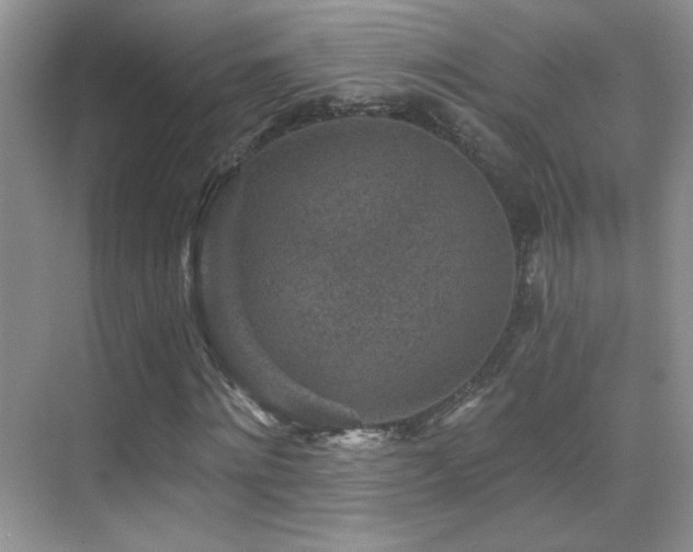 X0000069830868200605191137