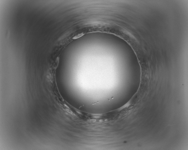 X0000069830869200605191137