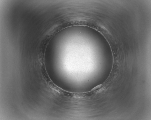 X0000069830870200605191137