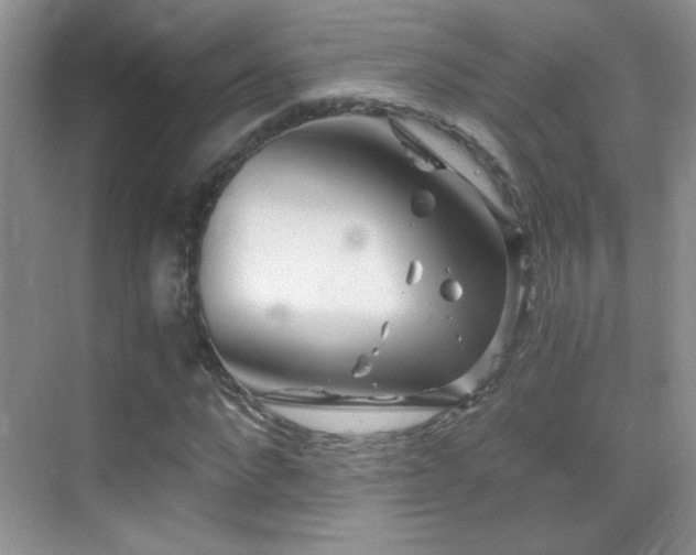 X0000069830872200605191137