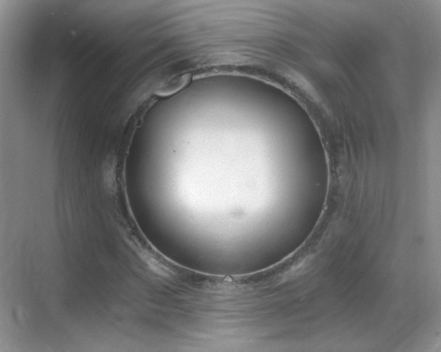 X0000069830873200605191137