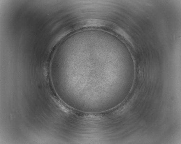 X0000069830874200605191137