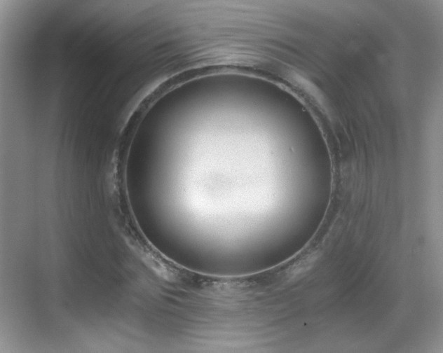 X0000069830875200605191137