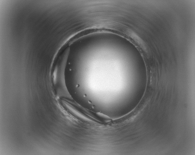 X0000069830876200605191137