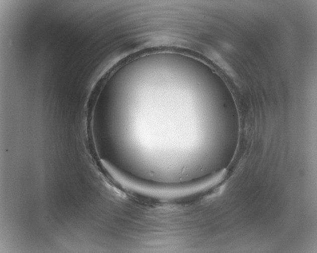 X0000069830877200605191137