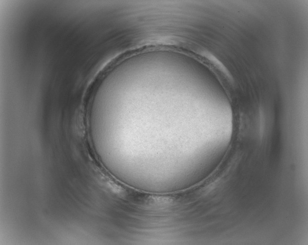 X0000069830878200605191137