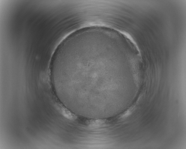 X0000069830879200605191137