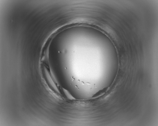 X0000069830880200605191137