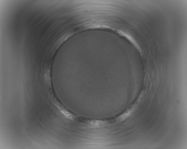 X0000069830881200605191137