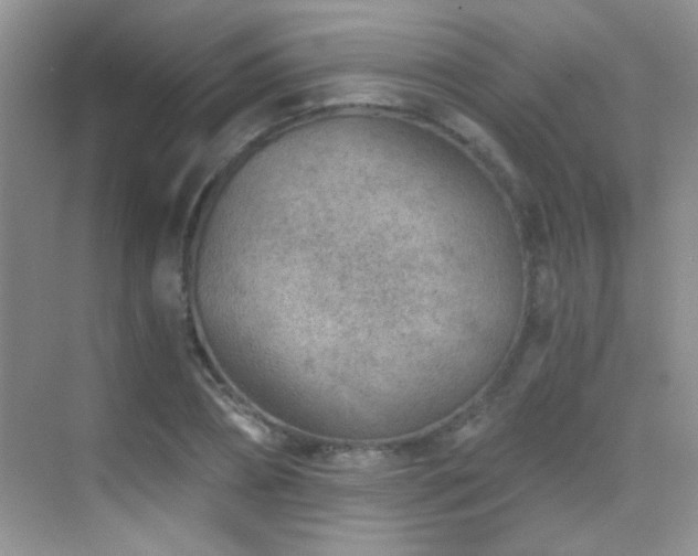 X0000069830882200605191137